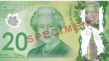 New 20 New 20