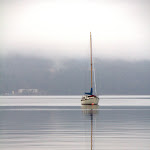 IMG_6329.jpg