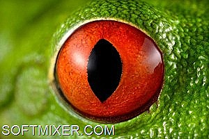 [clip_image042%255B10%255D.jpg]