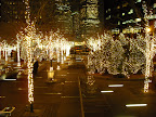 DSCN0085.jpg