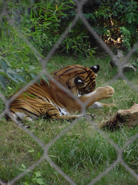 [Fresno%2520Zoo%2520036%255B3%255D.jpg]