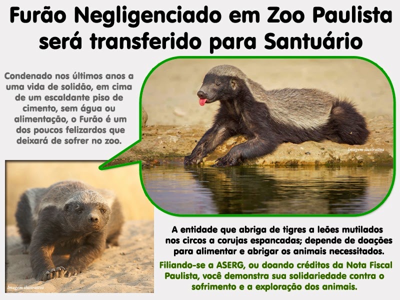 [furao-aserg%255B3%255D.jpg]