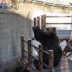 hokkaido_599.jpg