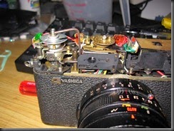 IMG_1781 IMG_1781