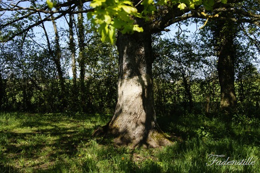 Blog und Sturm 032 Blog und Sturm 032