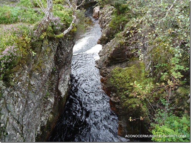 Glen Nevis-DSC00069