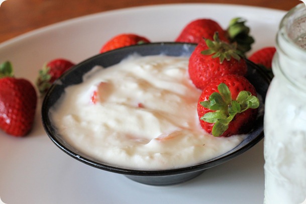easy_homemade_yogurt