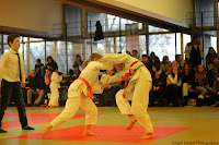 IMG_1242.jpg