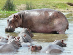 Murchison Falls Nationalpark