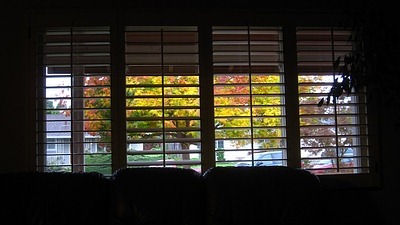 [fall_colors_out_the_living_room_window%255B3%255D.jpg]