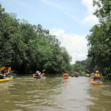 Bayou Teche Kayak Trip July 7, 2012 - IMG_0020.JPG