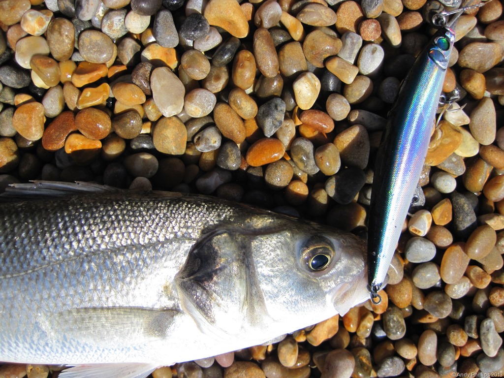 [IMG_1500%255B7%255D.jpg]