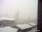 First snow... 1/15/2012 Renton, Washington #2