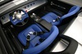 Shelby-Caroll-54