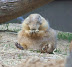National Zoo in August