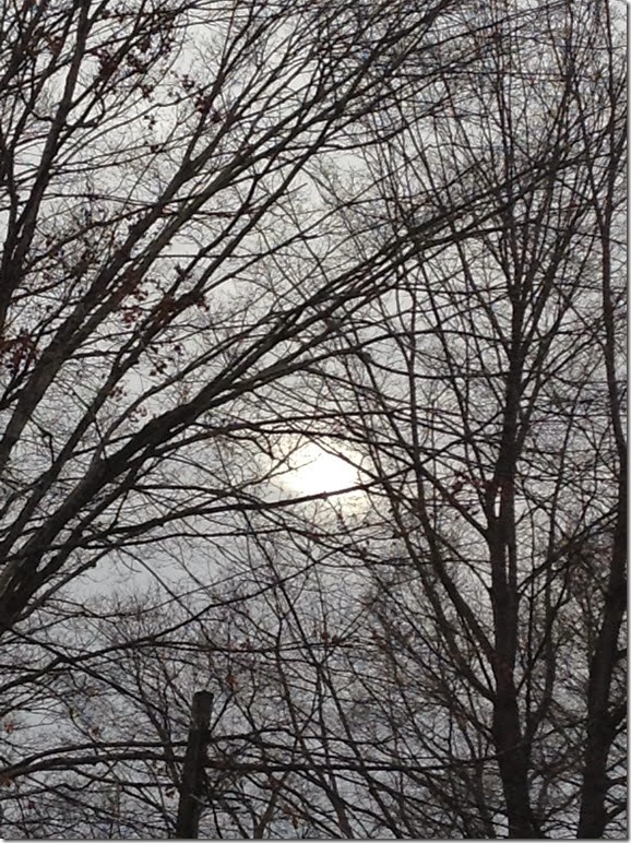 IMG_1376 IMG_1376