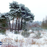 DSCF5616.jpg