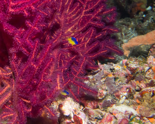 P7064872