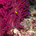 P7064872