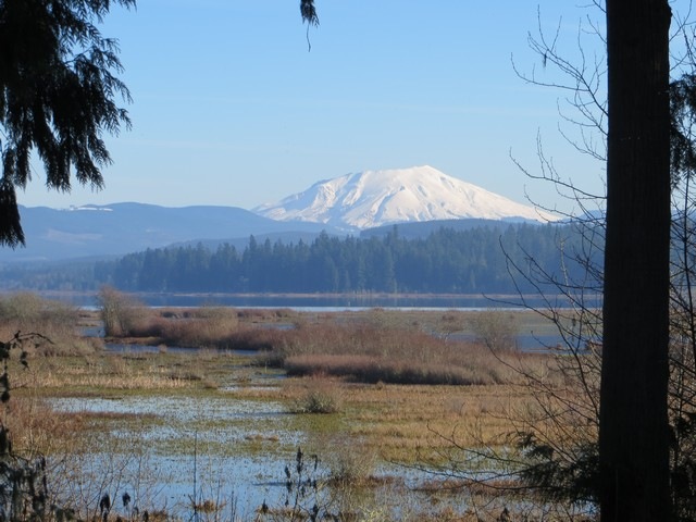 [mt%2520st%2520helens%252003%255B3%255D.jpg]
