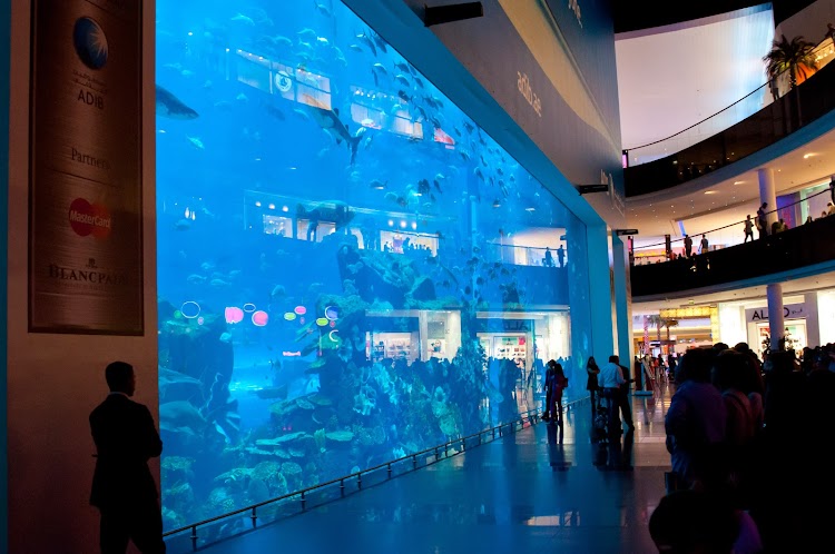 20131130-Dubai2013-04294.jpg
