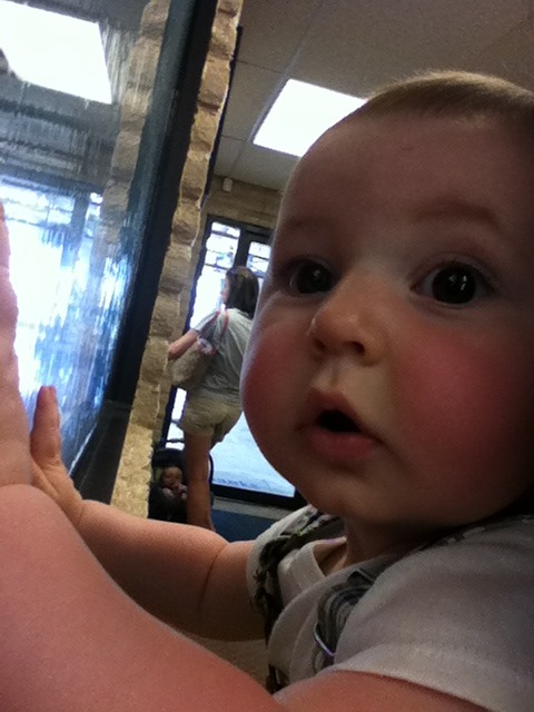 [IMG_1632%255B5%255D.jpg]