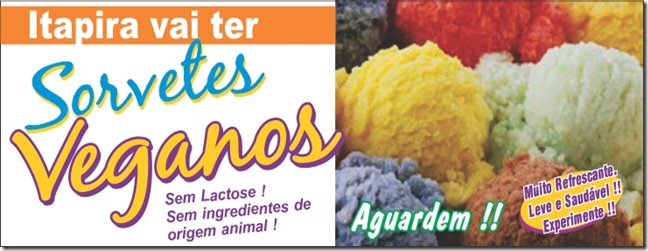 sorvetes veganos2 sorvetes veganos2