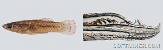 [clip_image005%255B10%255D.png]