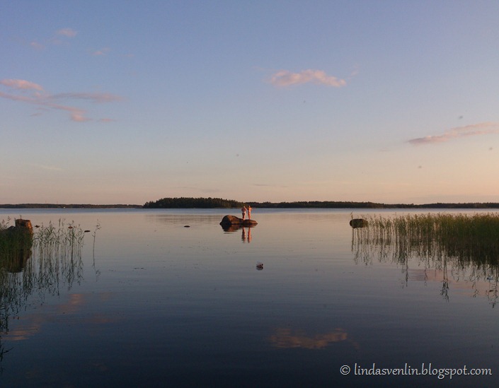 DSC_0851 (2)