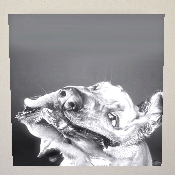 [Screenshot-4%255B3%255D.jpg]