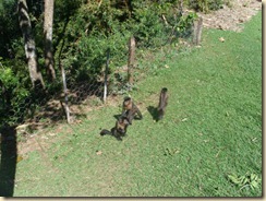 IMG_0419 IMG_0419