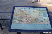 IMG_6061.JPG Photo