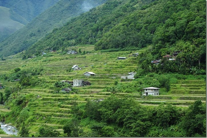 Banaue02(93) Banaue02(93)