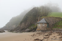 IMG_9270.JPG Photo