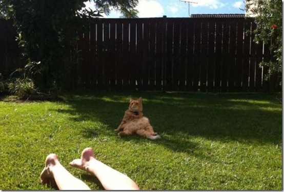 viral-picdump-pics-1dceaa