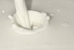 Full_Fat_Dairy Full_Fat_Dairy