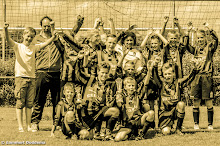 20140614 - WVV D4 - BATO TOERNOOI - 040.jpg