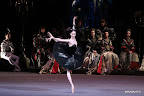 Nikulina A. Swan lake