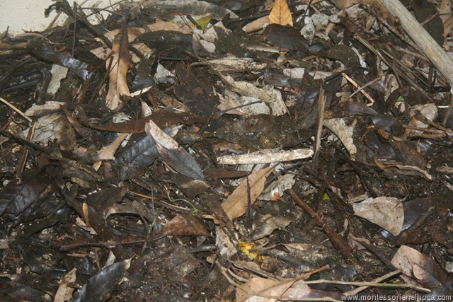 [IMG_4142%255B4%255D.jpg]
