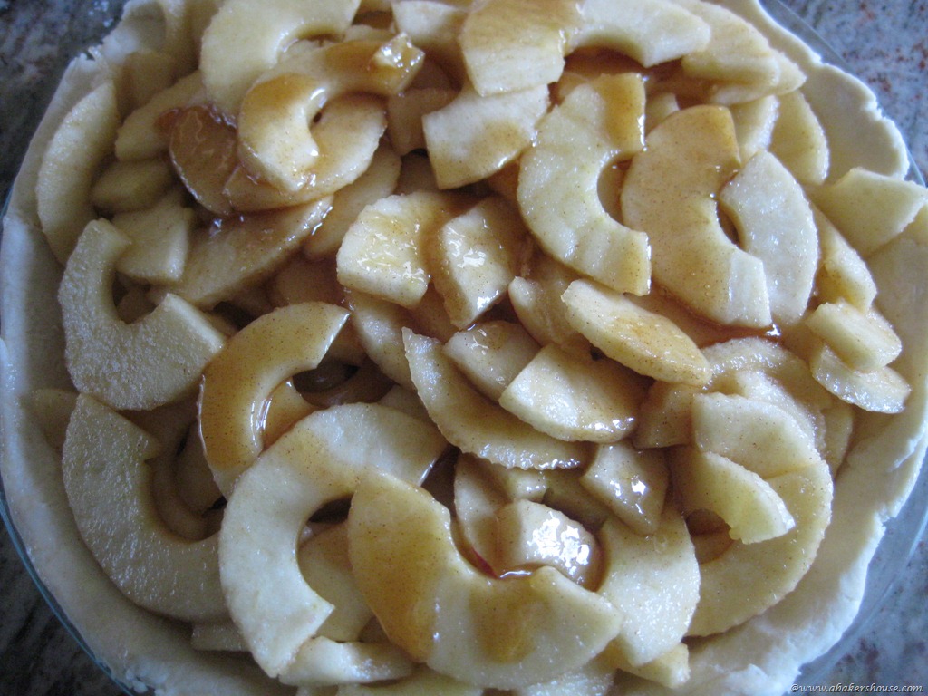 [apples%2520in%2520pie%255B7%255D.jpg]