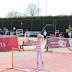 image_from_picasa