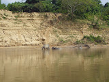 STP60543.JPG