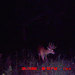 MDGC0019.JPG