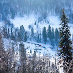 sneg2012-26.jpg