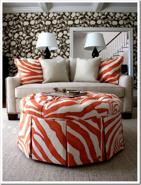 zebra-laranja_thumb3 zebra-laranja_thumb3
