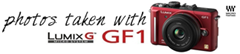 gf1banner