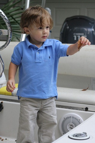 IMG_9706 IMG_9706