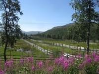 IMG_6917 IMG_6917