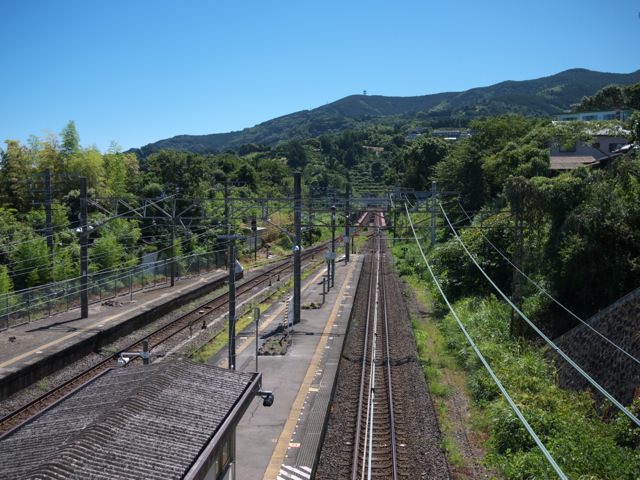 夏ですね