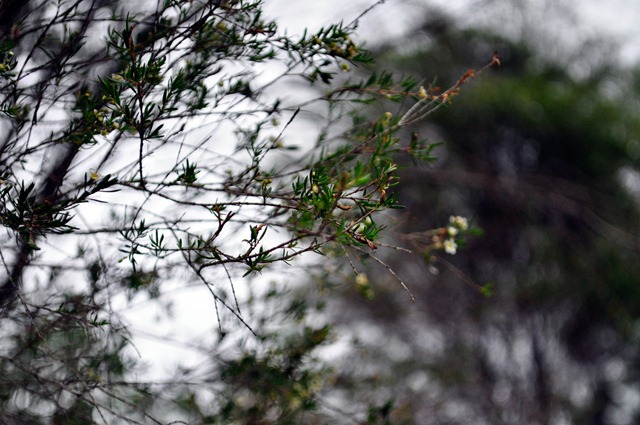 [_DSC9639%255B2%255D.jpg]